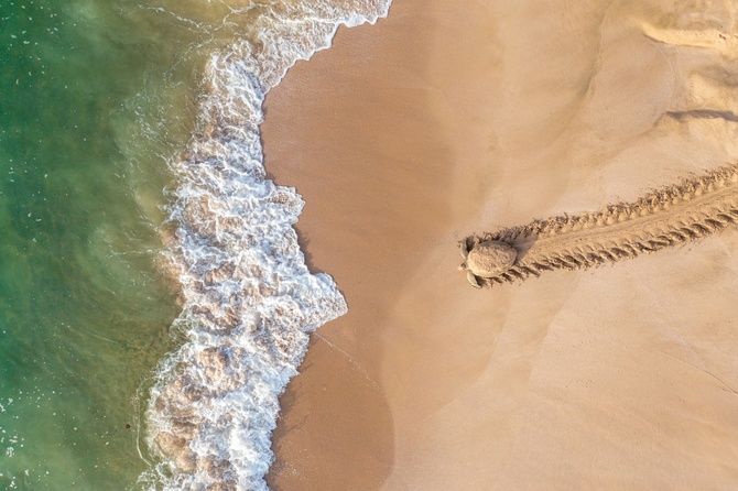 © Qasim Al Farsi (Оман) «Назад к приключениям». 1-е место в категории «Дикая природа» | Drone Photo Awards 2021