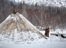 «Утренние заботы», фотограф Ульянкин Денис. Россия, Ямало-Ненецкий автономный округ. Долина реки Собь. фото 3