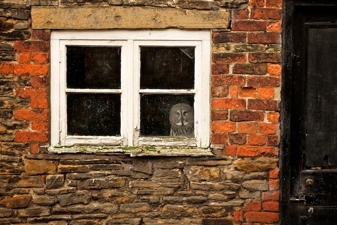 I like my house! — Mark Bridger