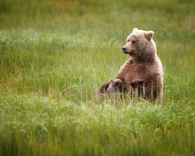 Nursing Mama — Ruth Steck фото 10