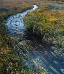 Andrew Herbert. Победитель в номинации «Вода/река/море». фото 19