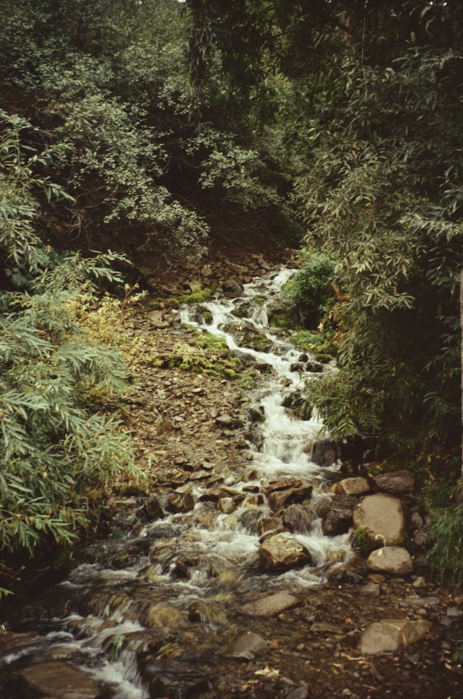 «Водопад», Гринь Алёна