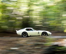 Shelby Daytona Cobra Coupe – 1965 фото 11