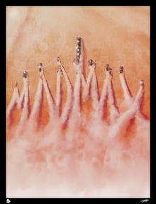 © Andy Fairhurst фото 1