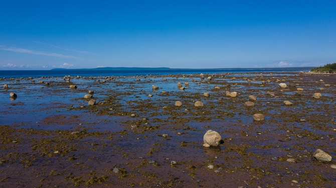 Морская дорога близ Кузомени. Фото – Андрей Каменев