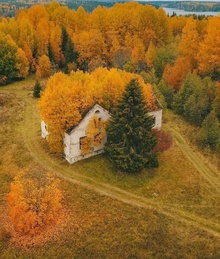 Заброшенный дом в Карелии фото 1