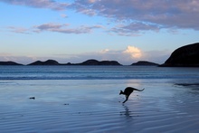 Lucky Bay — Mandy Wilson фото 9