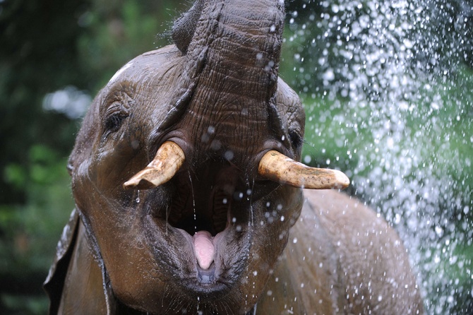 © Jean Francois Monier/AFP/Getty Images