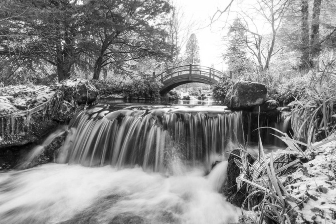 Allan Wright (Великобритания) «Японские водные сады». Высокая оценка жюри IGPOTY Black & White 15