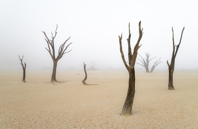 Номинация «Пейзаж» 2 место – работа Евгения Бушкова «Туманный рассвет в Dead Vlei»