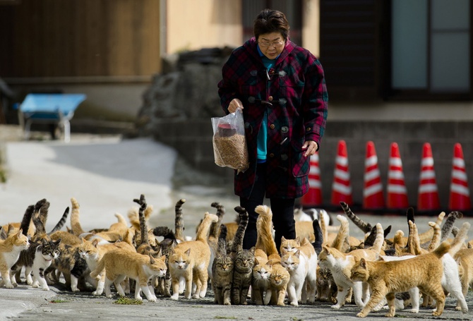 © Thomas Peter/Reuters