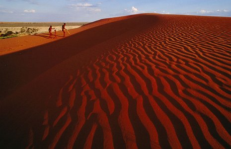 Обои от National Geographic