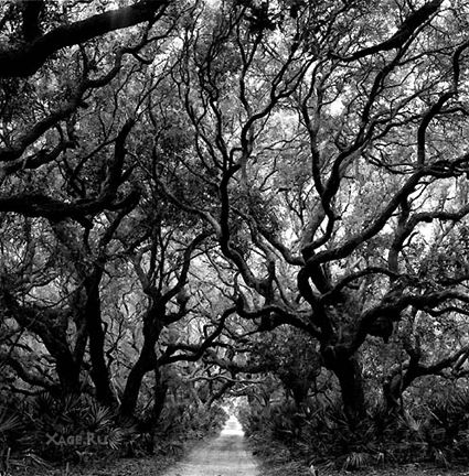 Сюрриалистичные фотографии Rodney Smith