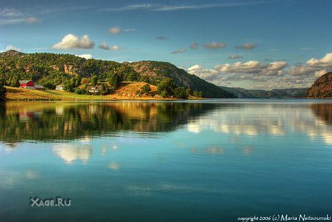 Сайт фотографа Булки