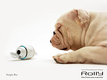 Sony - Rolly