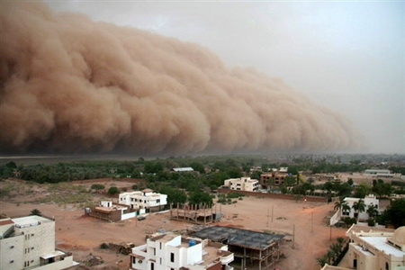 Лучшие фотографии AFP за 2007 год