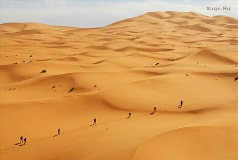 Le Marathon des Sables