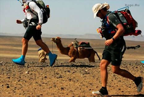 Le Marathon des Sables